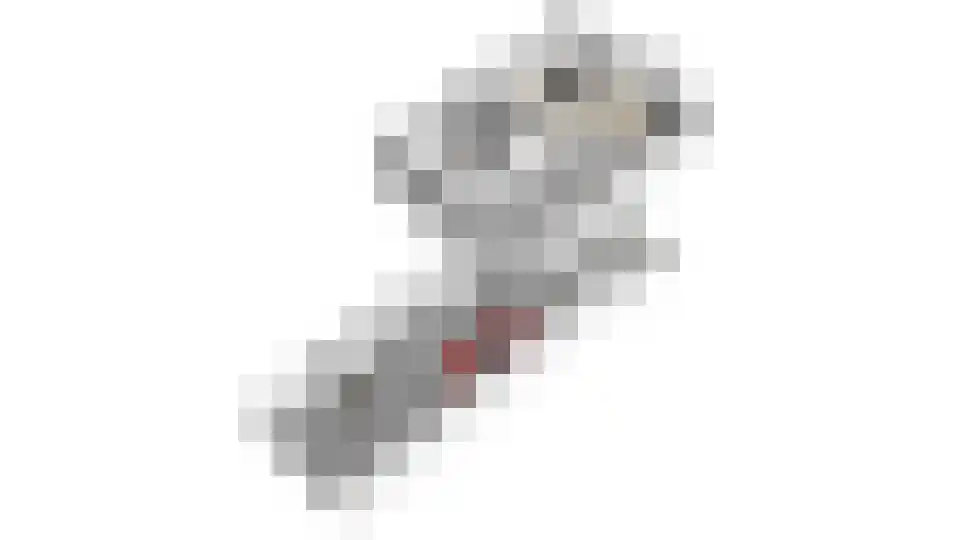 Valeriaan 21 Westerhaar-Vriezenveensewijk thumbnail 60