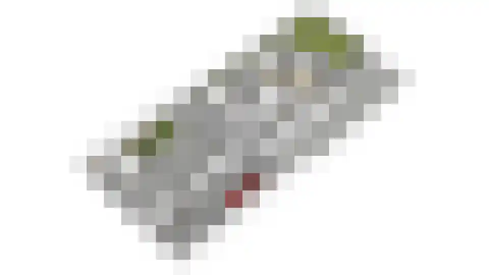 Valeriaan 21 Westerhaar-Vriezenveensewijk thumbnail 66