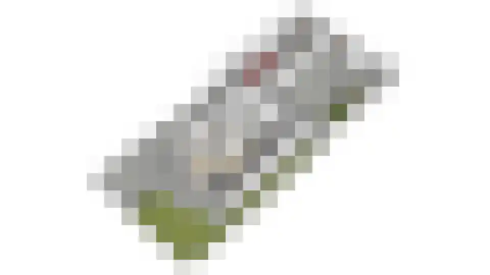 Valeriaan 21 Westerhaar-Vriezenveensewijk thumbnail 67