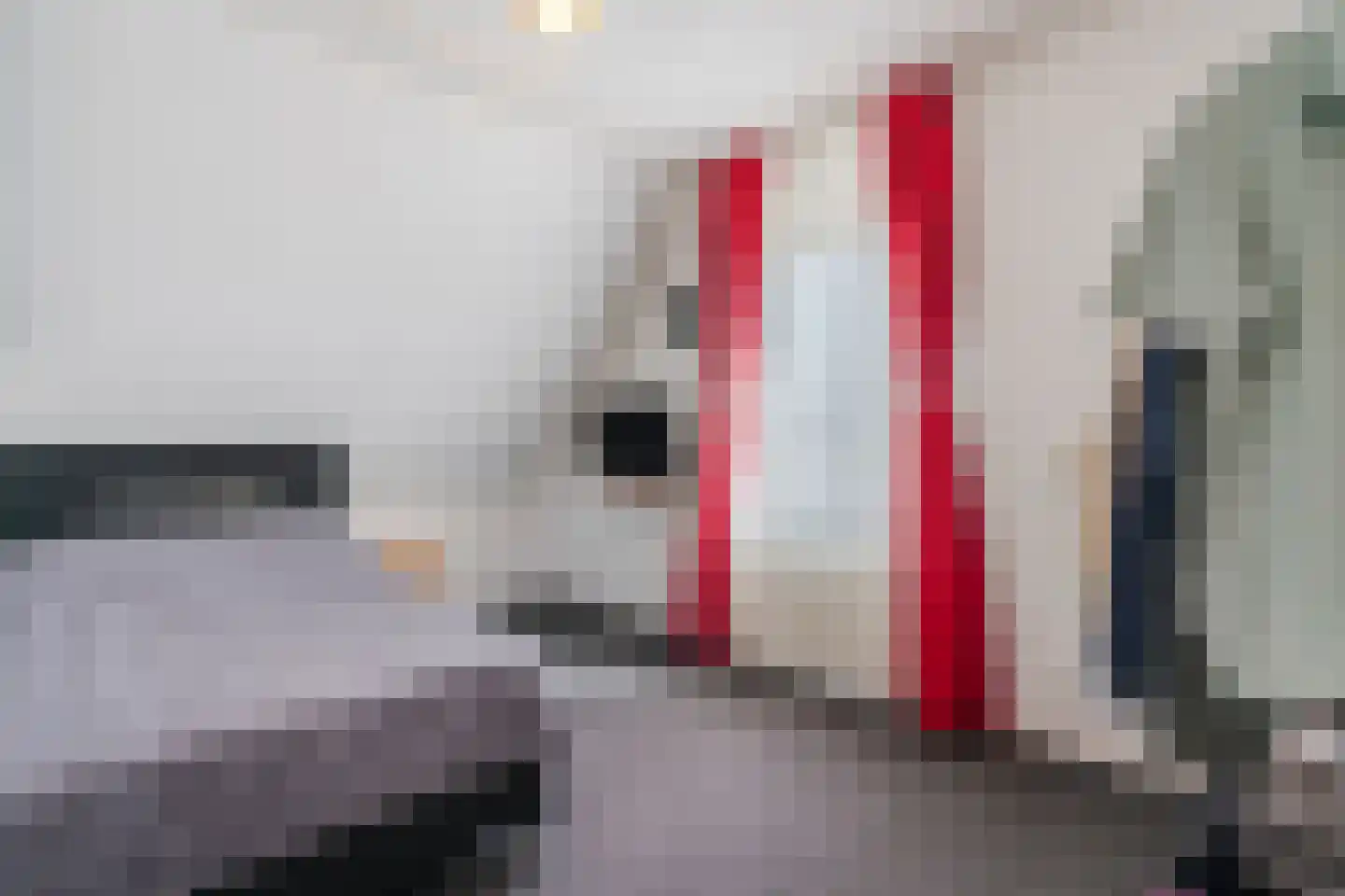 Valeriaan 24 Westerhaar-Vriezenveensewijk thumbnail 18