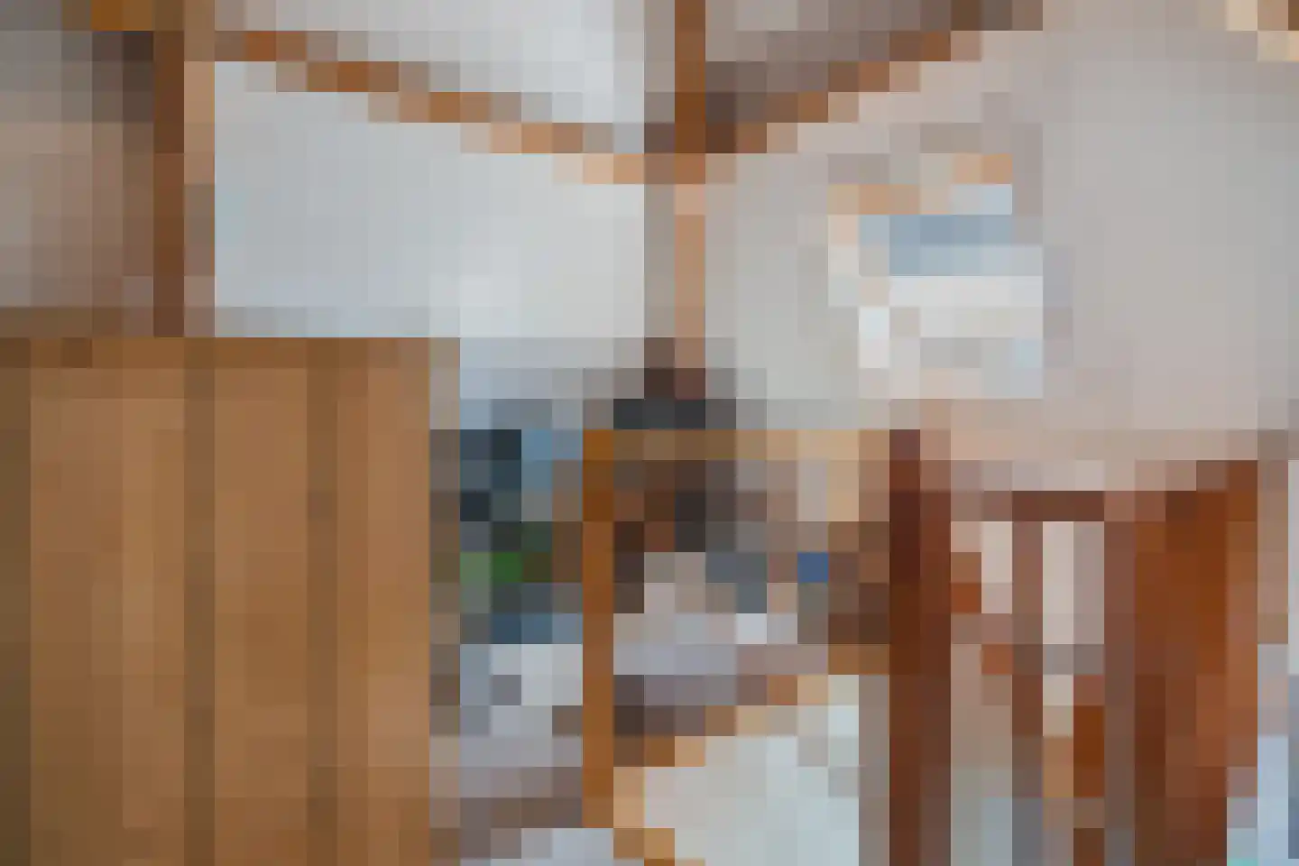 Valeriaan 24 Westerhaar-Vriezenveensewijk thumbnail 31