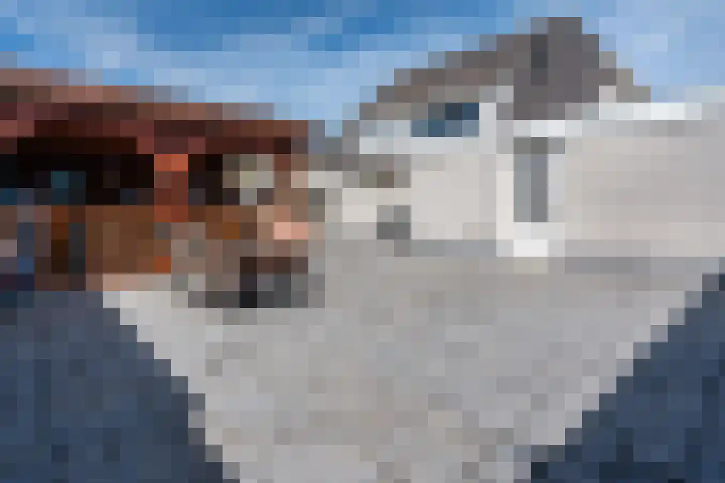 Valeriaan 24 Westerhaar-Vriezenveensewijk thumbnail 35