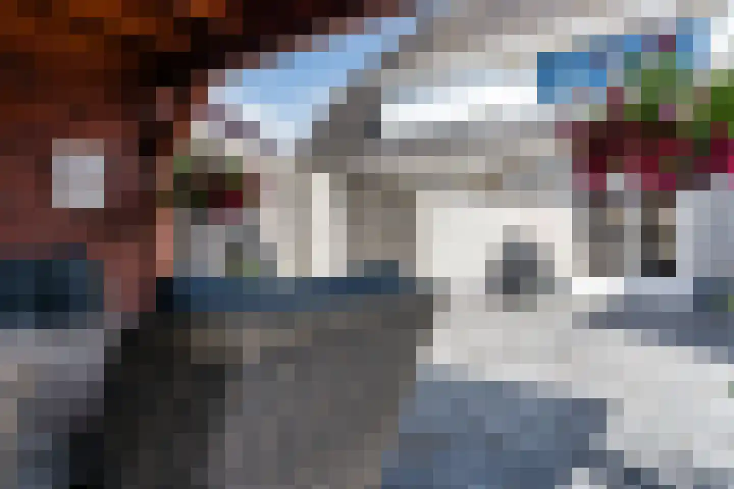 Valeriaan 24 Westerhaar-Vriezenveensewijk thumbnail 38