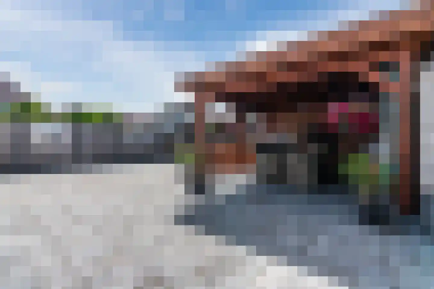 Valeriaan 24 Westerhaar-Vriezenveensewijk thumbnail 4