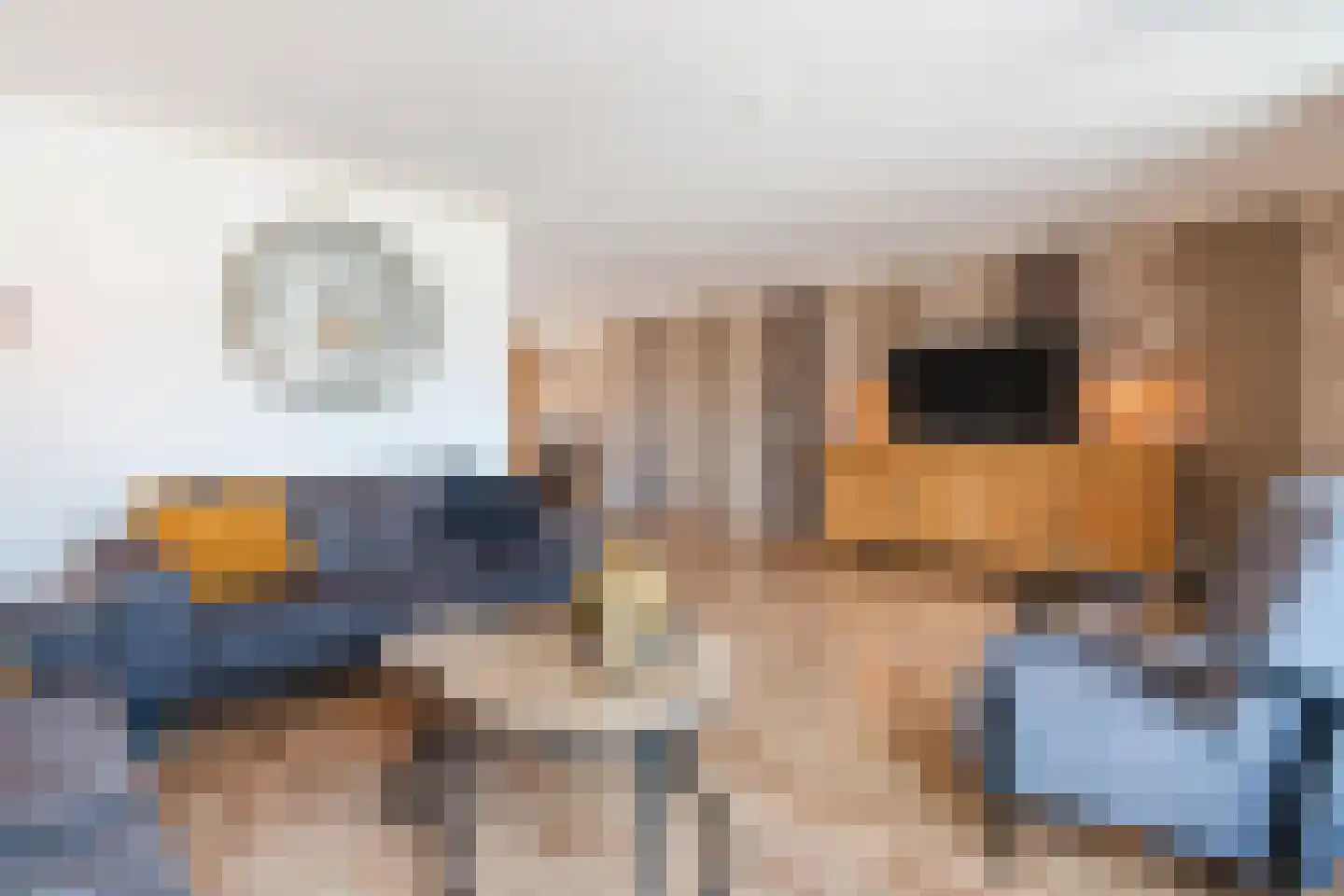 Valeriaan 24 Westerhaar-Vriezenveensewijk thumbnail 9