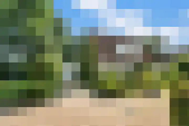 Valeriaan 25 Nijverdal