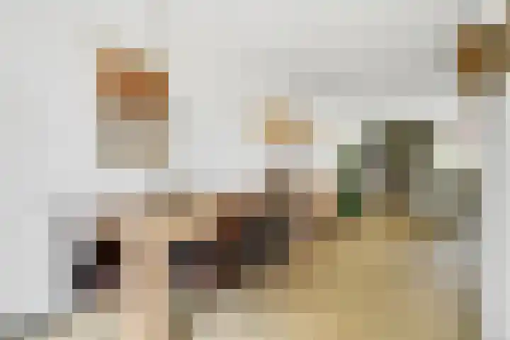 Valeriaan 25 Nijverdal thumbnail 10