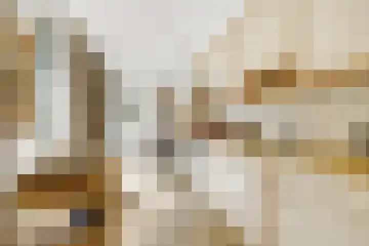 Valeriaan 25 Nijverdal thumbnail 12