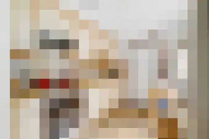 Valeriaan 25 Nijverdal thumbnail 13