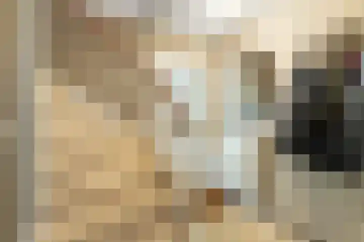 Valeriaan 25 Nijverdal thumbnail 15