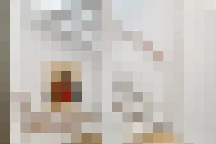 Valeriaan 25 Nijverdal thumbnail 17