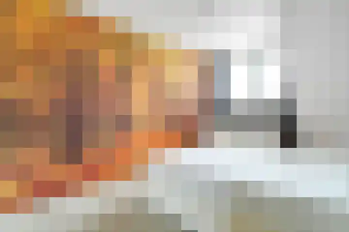 Valeriaan 25 Nijverdal thumbnail 18