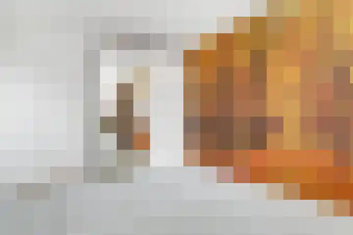 Valeriaan 25 Nijverdal thumbnail 19