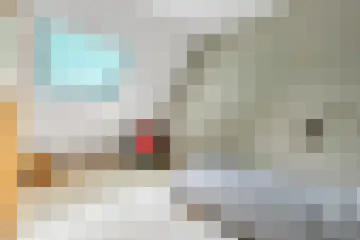 Valeriaan 25 Nijverdal thumbnail 20