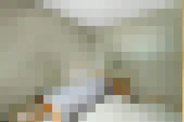 Valeriaan 25 Nijverdal thumbnail 21