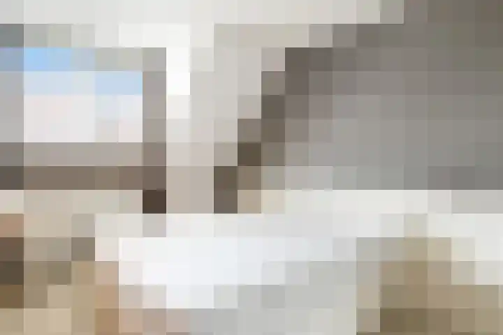 Valeriaan 25 Nijverdal thumbnail 22