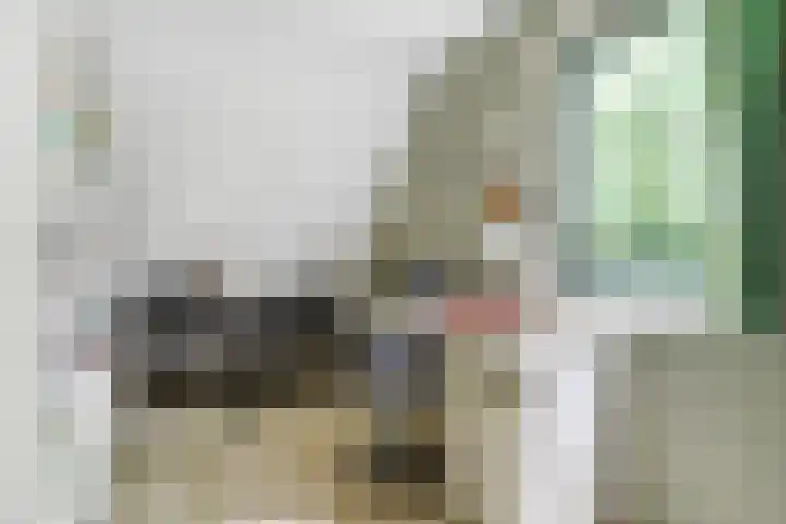 Valeriaan 25 Nijverdal thumbnail 23