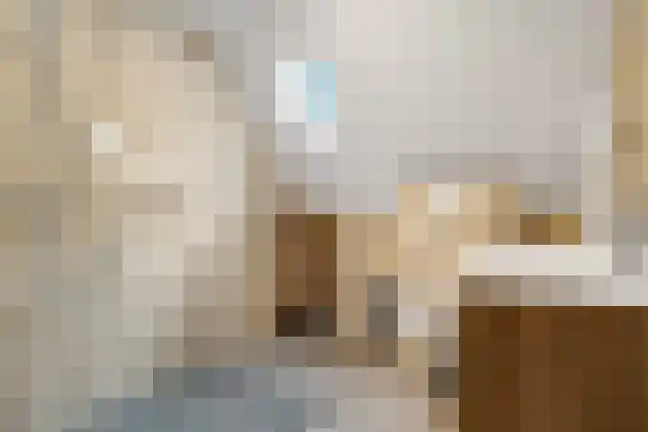 Valeriaan 25 Nijverdal thumbnail 24