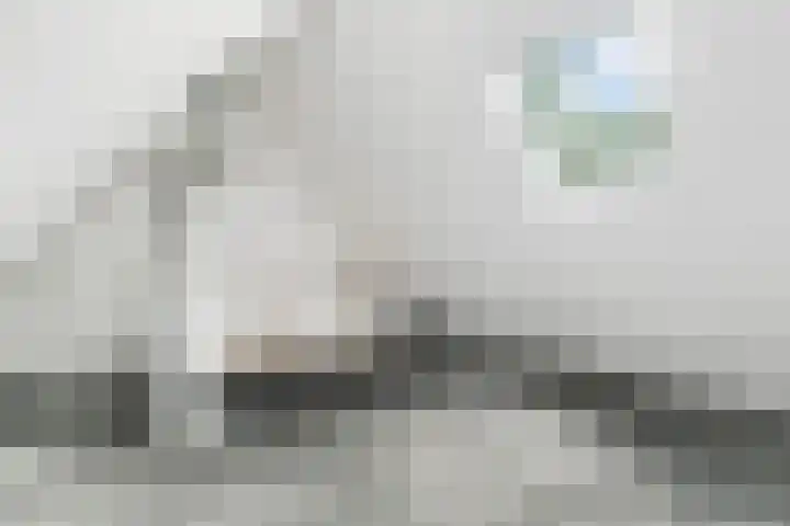 Valeriaan 25 Nijverdal thumbnail 25