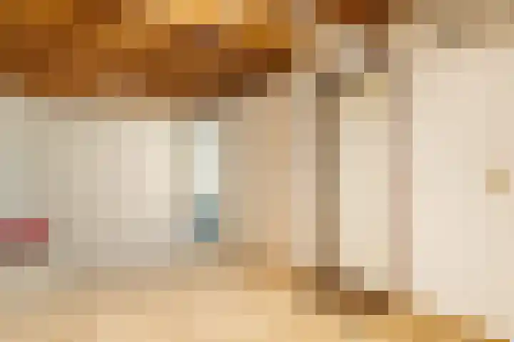 Valeriaan 25 Nijverdal thumbnail 27