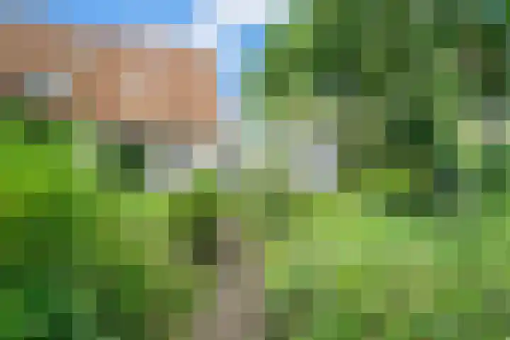 Valeriaan 25 Nijverdal thumbnail 30