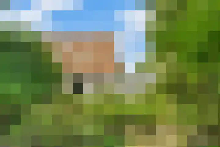 Valeriaan 25 Nijverdal thumbnail 31