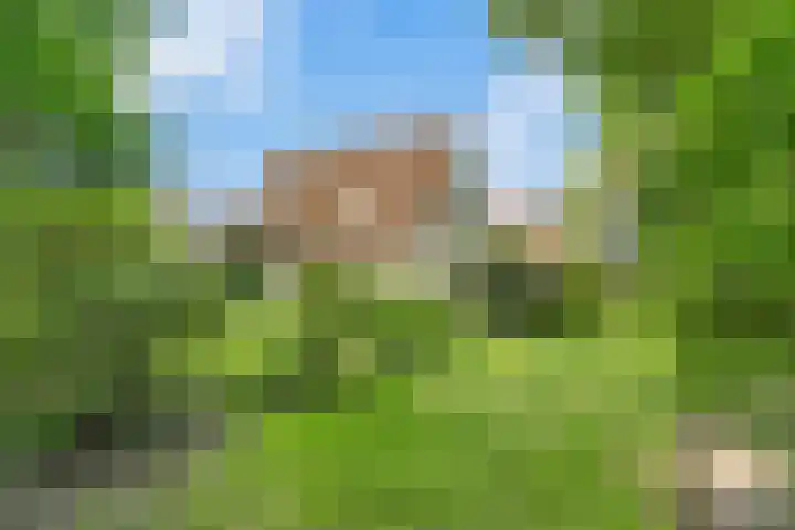 Valeriaan 25 Nijverdal thumbnail 32