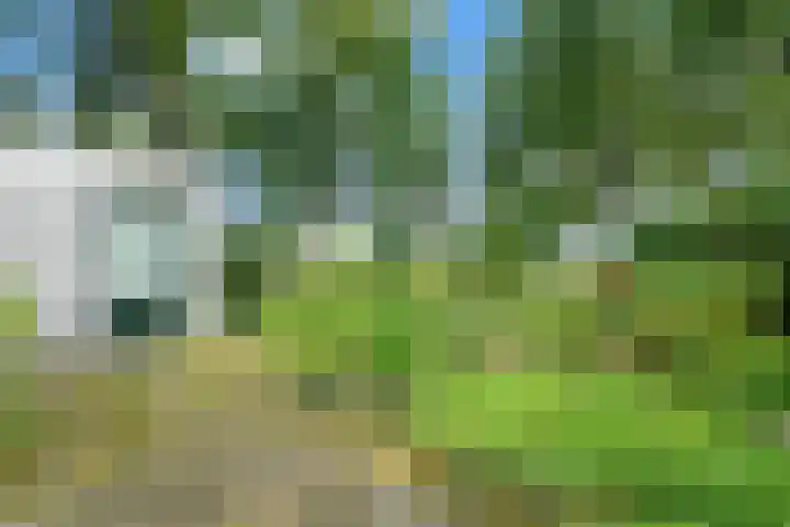 Valeriaan 25 Nijverdal thumbnail 33