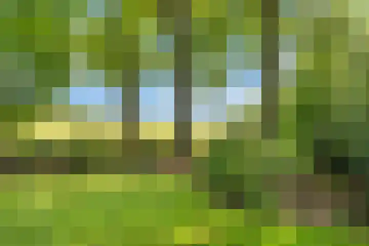 Valeriaan 25 Nijverdal thumbnail 36