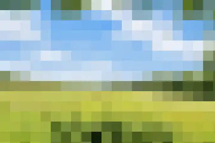 Valeriaan 25 Nijverdal thumbnail 37
