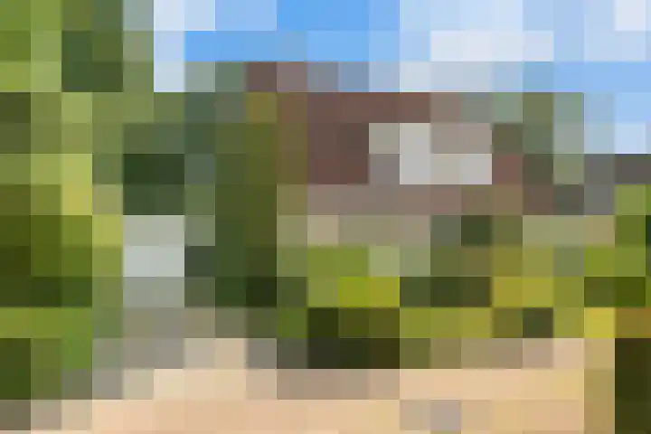 Valeriaan 25 Nijverdal thumbnail 38