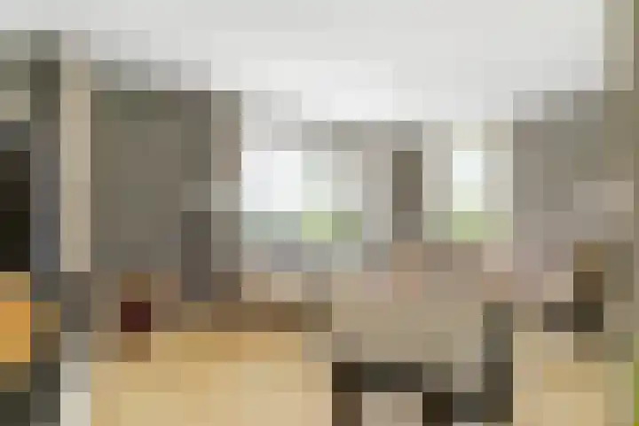 Valeriaan 25 Nijverdal thumbnail 4