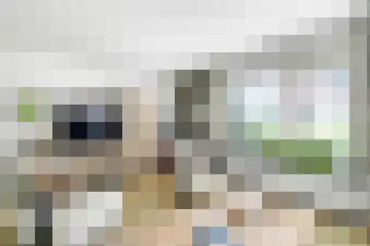 Valeriaan 25 Nijverdal thumbnail 5