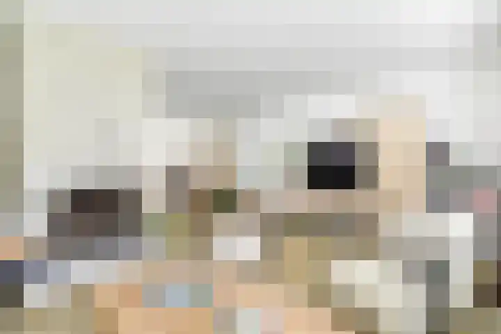 Valeriaan 25 Nijverdal thumbnail 6