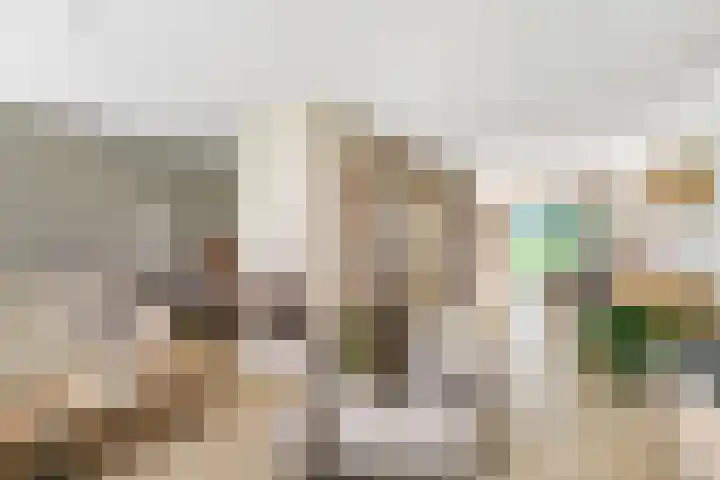 Valeriaan 25 Nijverdal thumbnail 7