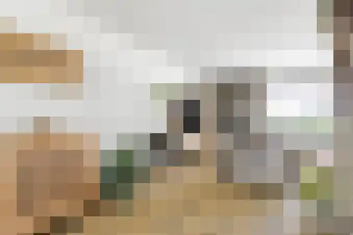 Valeriaan 25 Nijverdal thumbnail 8