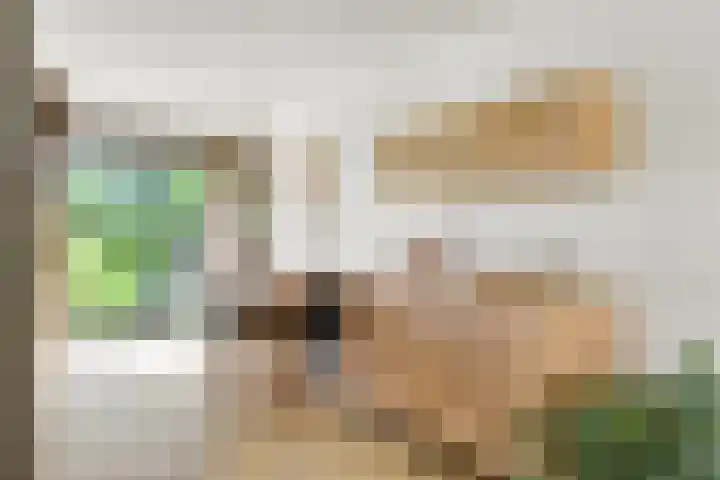 Valeriaan 25 Nijverdal thumbnail 9