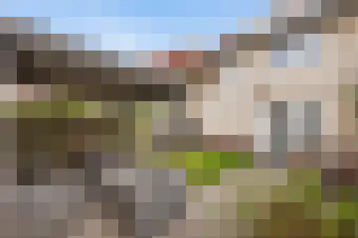 Valeriaan 26 Meppel thumbnail 12