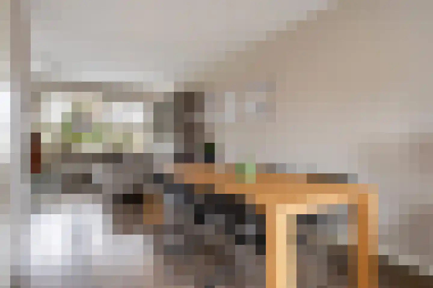 Valeriaan 26 Meppel thumbnail 13