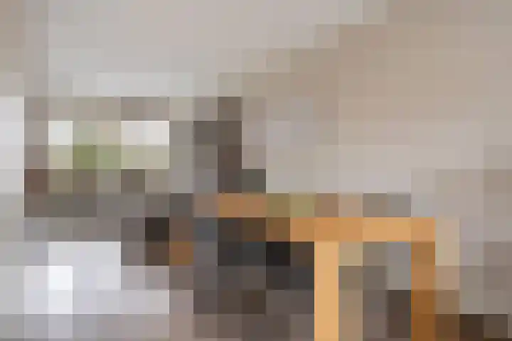 Valeriaan 26 Meppel thumbnail 13