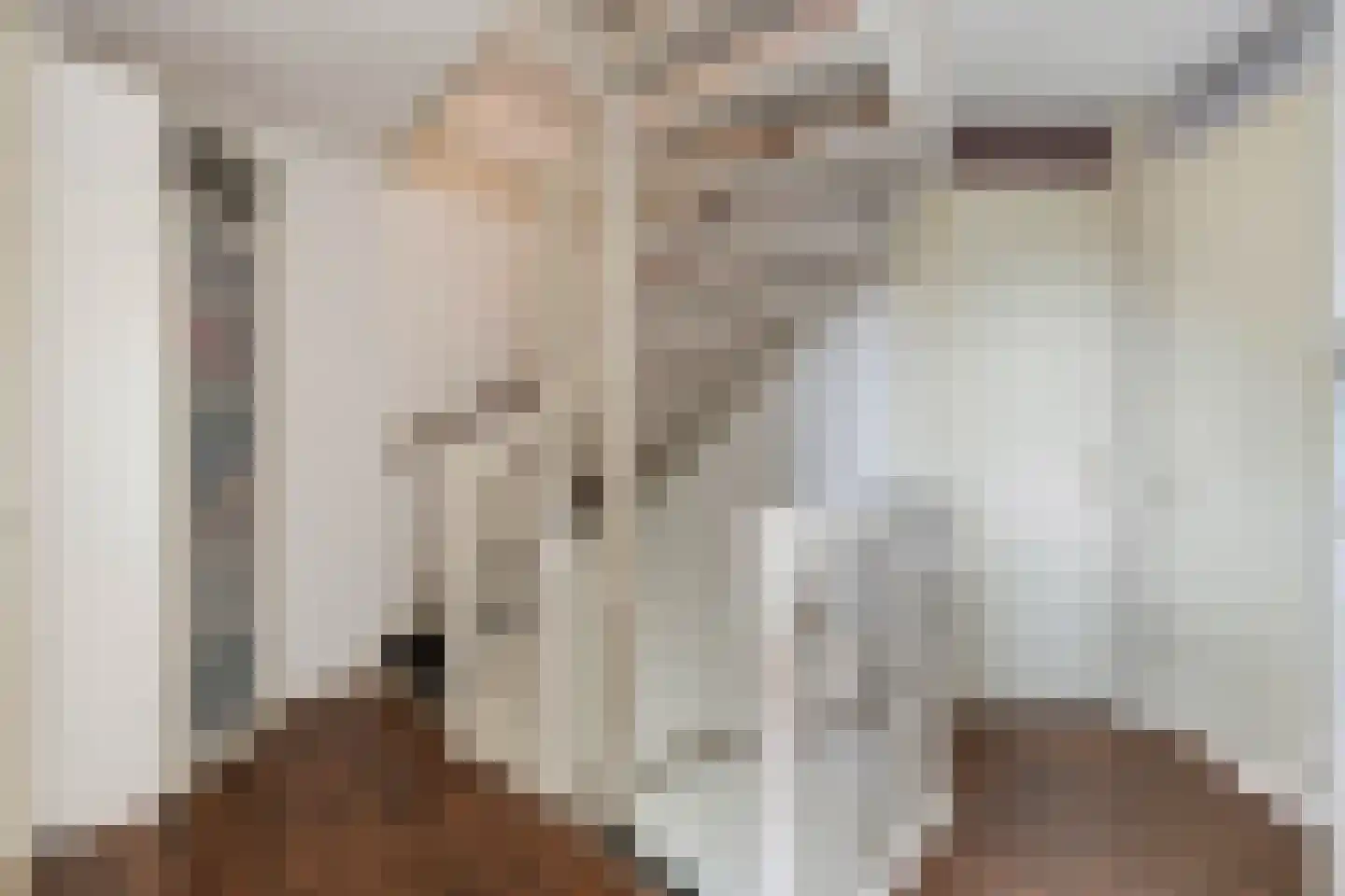 Valeriaan 26 Meppel thumbnail 18