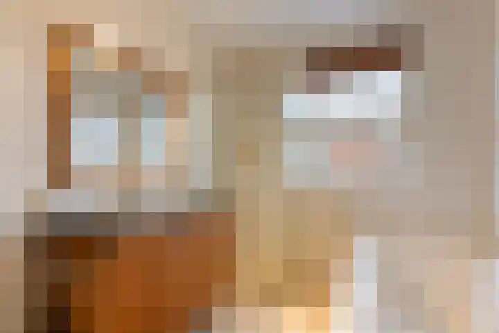 Valeriaan 26 Meppel thumbnail 30