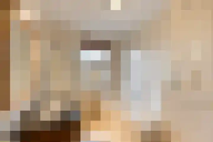 Valeriaan 26 Meppel thumbnail 31