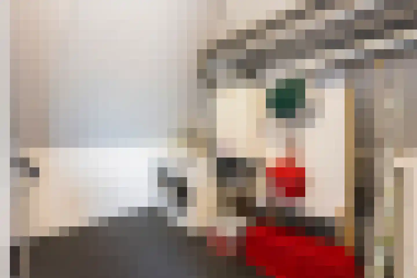 Valeriaan 26 Meppel thumbnail 31