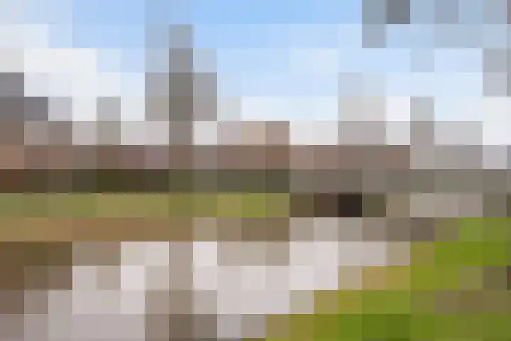 Valeriaan 26 Meppel thumbnail 4