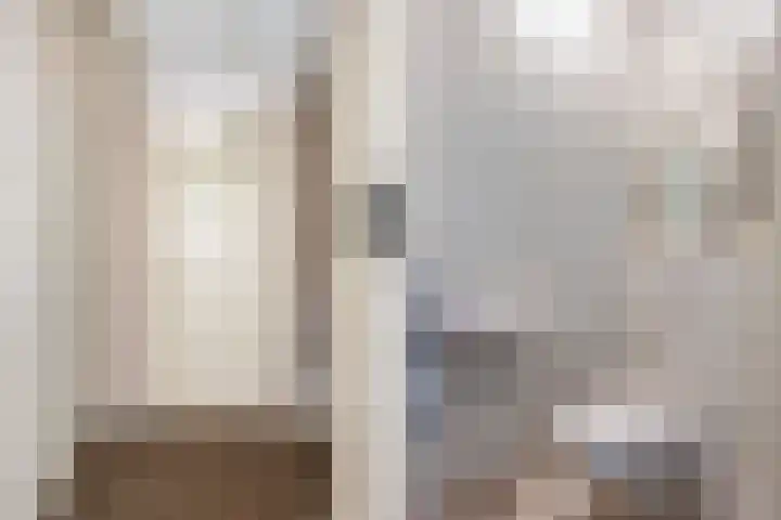 Valeriaan 26 Meppel thumbnail 7