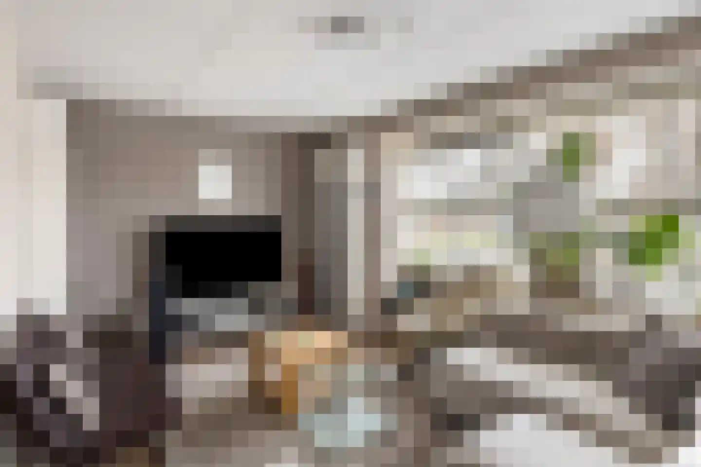 Valeriaan 26 Meppel thumbnail 8