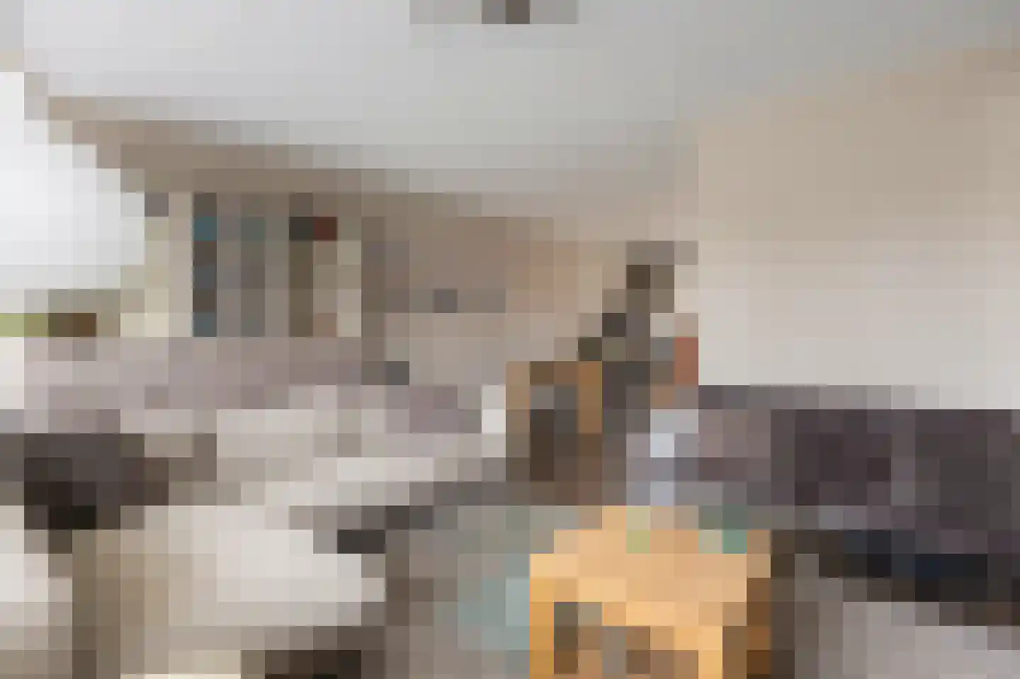 Valeriaan 26 Meppel thumbnail 9