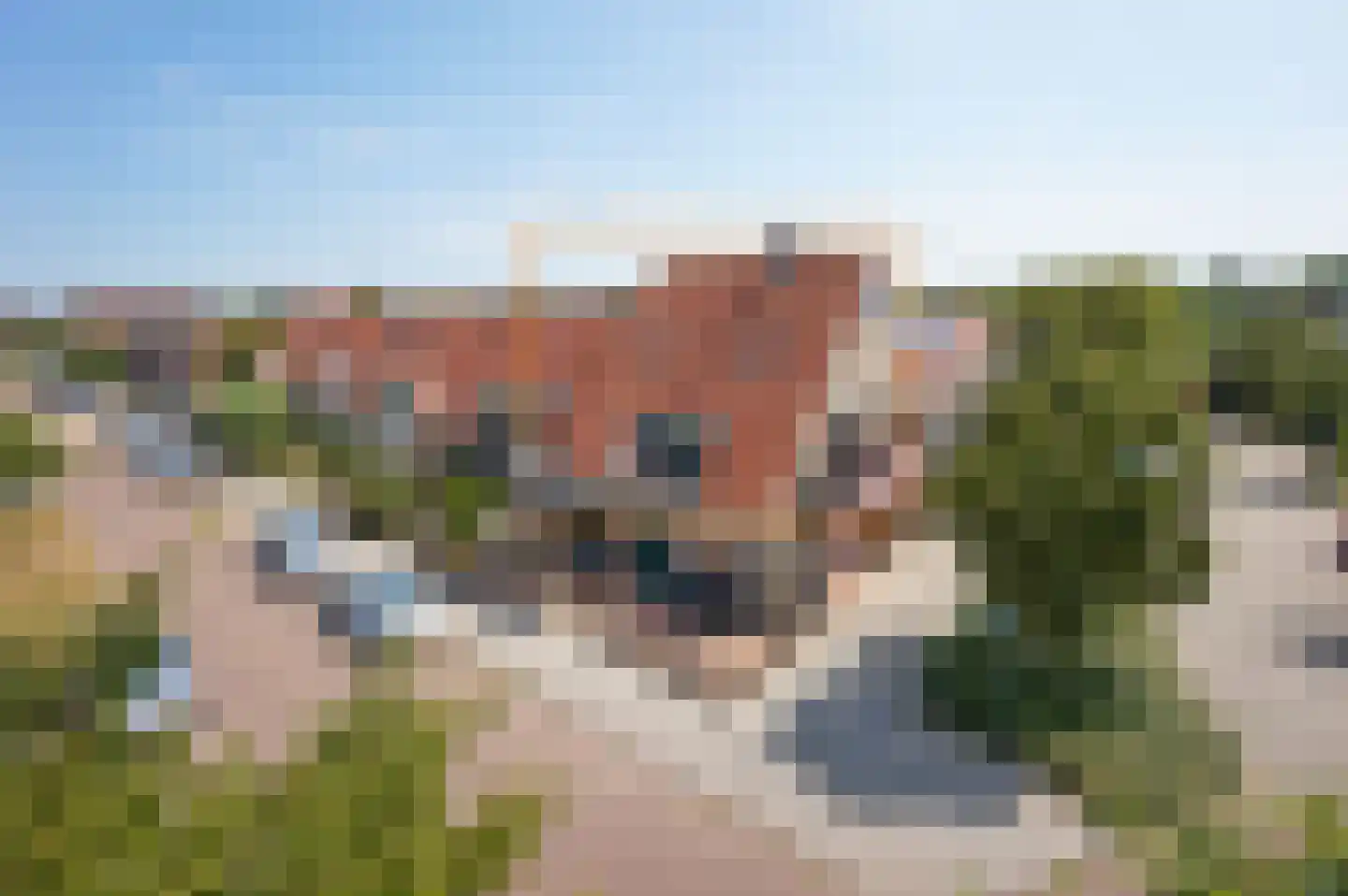 Valeriaan 26 Oudkarspel