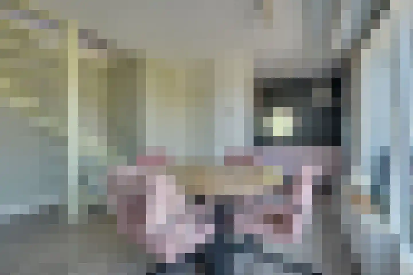 Valeriaan 26 Oudkarspel thumbnail 13
